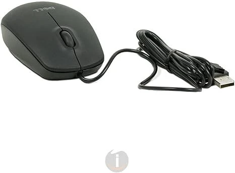 Souris