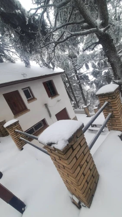 Location vacances Bungalow F1 Blida Chrea