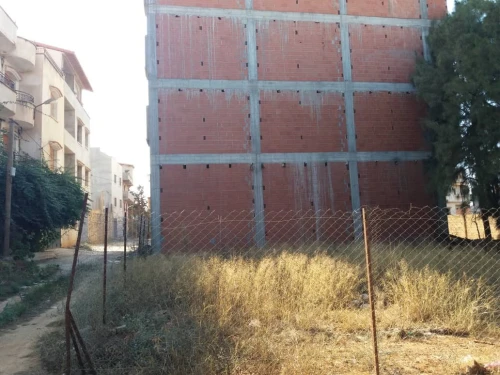 Vente Terrain Tipaza Bou ismail
