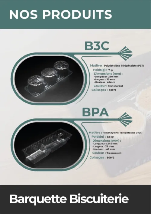 TRANSFORMATION ET RECEYCLAGE DES PLASTIQUE