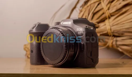 CANON EOS R7 