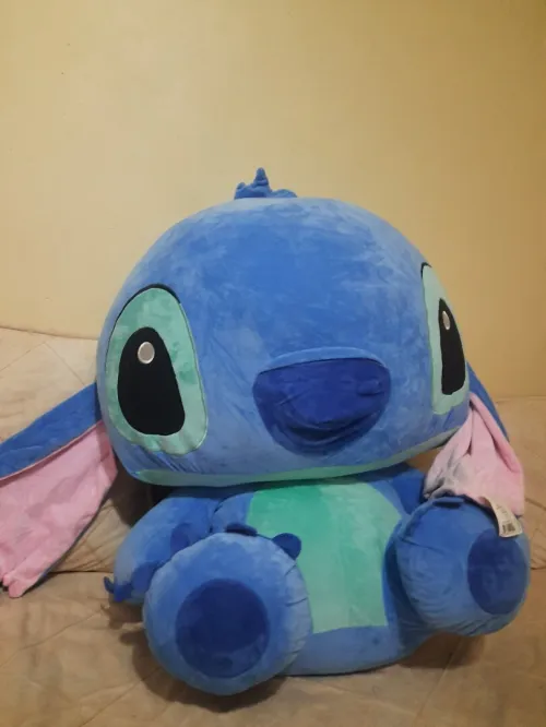 Stich XL
