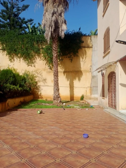 Vente Terrain Alger Draria