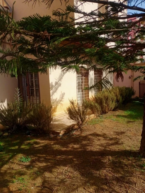Vente Terrain Alger Draria