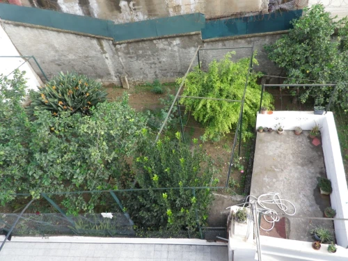 Vente Terrain Alger Bouzareah