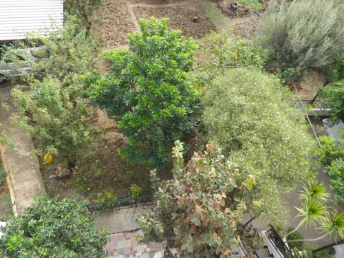 Vente Terrain Alger Bouzareah