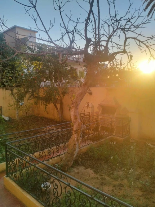Vente Terrain Alger El madania
