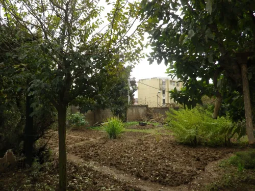 Vente Terrain Alger Bouzareah