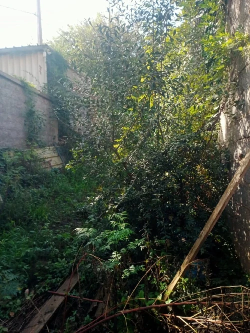 Vente Terrain Alger Draria