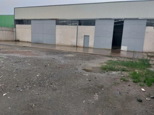 Vente Hangar - Usine Blida Ouled selama