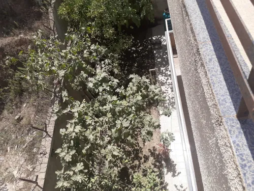 Vente Villa Alger Bouzareah