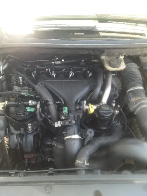 Citroen C4 2006 Vitamine