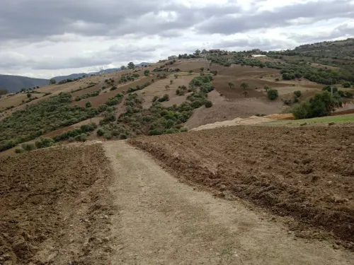 Echange Terrain Boumerdes Khemis el khechna