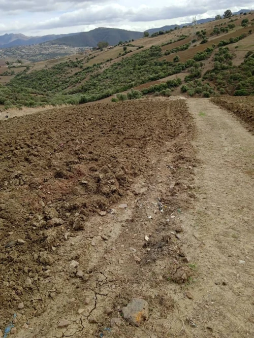 Echange Terrain Boumerdes Khemis el khechna