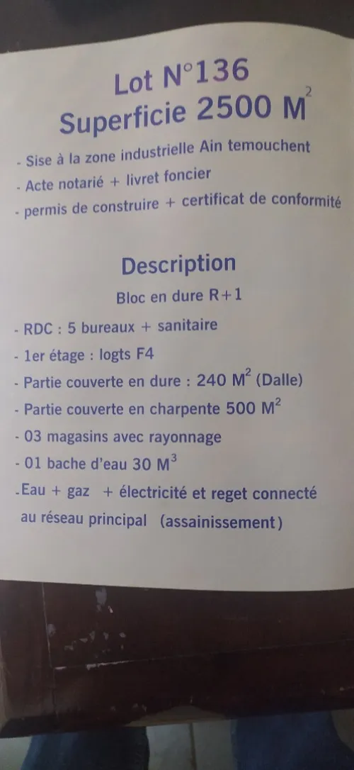 Vente Terrain Aïn Témouchent Ain temouchent