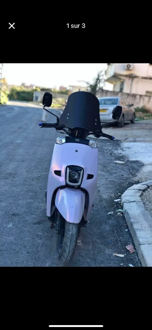 Estate 1 Cuxi 2021
