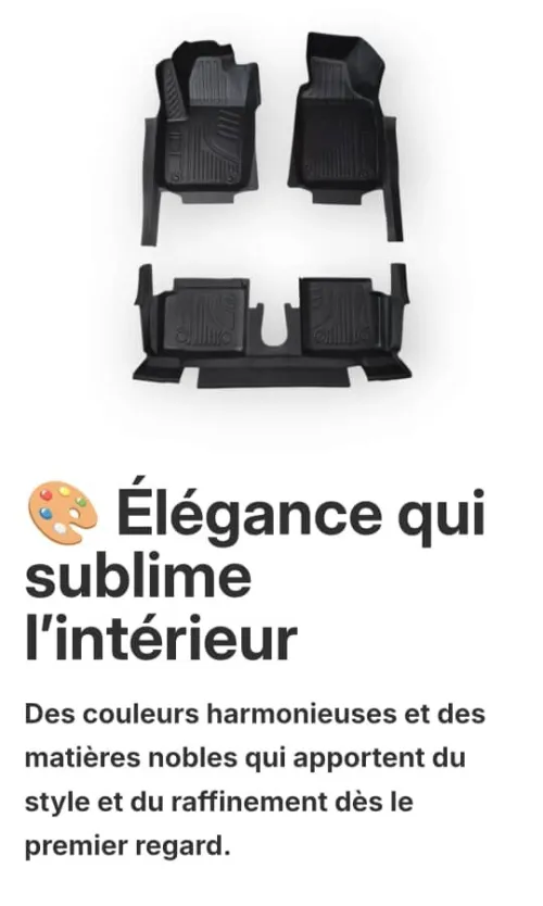 Tapis 5d carbonix