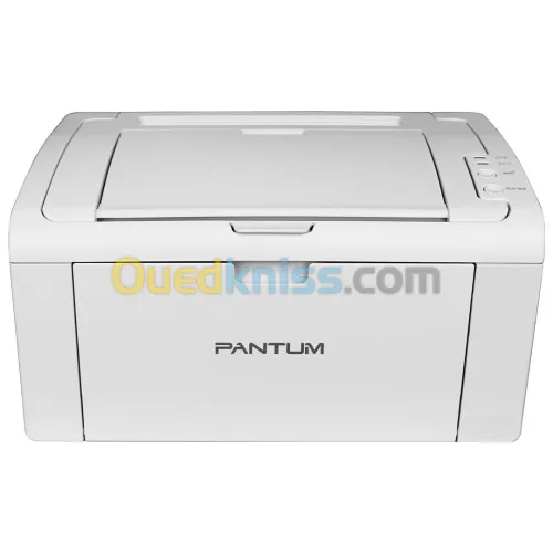 Imprimantes Pantum P2509 A4 Laser Noir et Blanc 22PPM