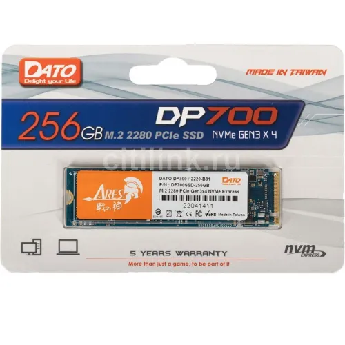 DISQUE DUR SSD NVME 256 MARQUE DATO 