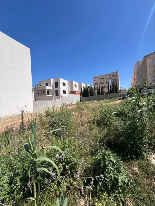 Vente Terrain Alger Ouled fayet