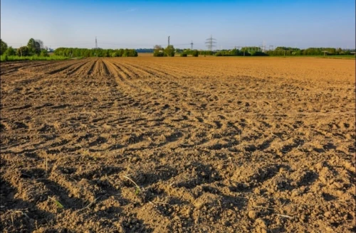 Vente Terrain Agricole Bordj Bou Arreridj Mansoura