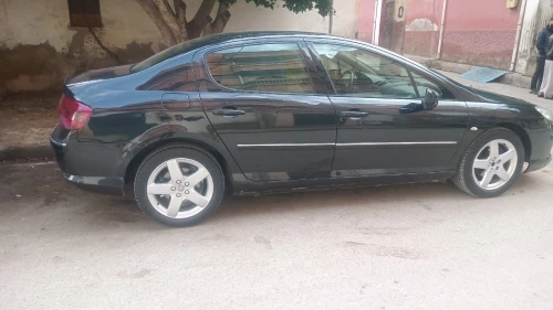 Peugeot 407 2007 407