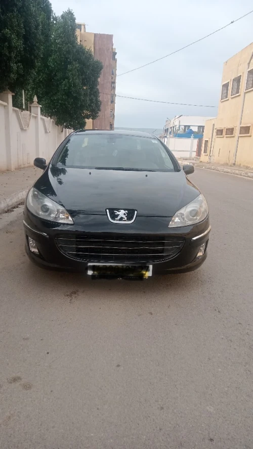 Peugeot 407 2007 407