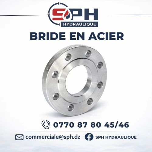 BRIDE EN ACIER