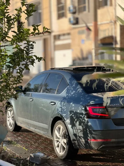 Skoda Octavia 2019 Clever