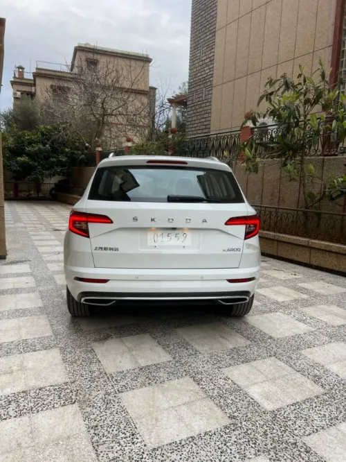 Skoda Karoq 2025 Luxe