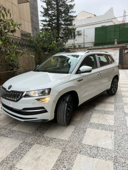 Skoda Karoq 2025 Luxe