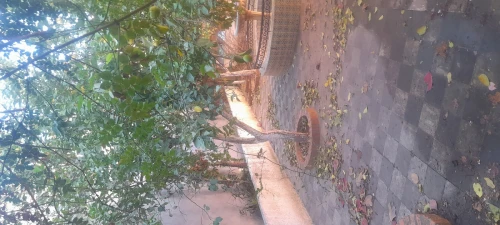 Vente Villa Blida Blida