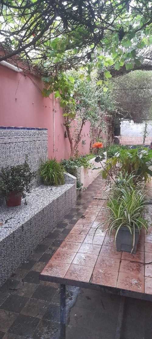 Vente Villa Blida Blida