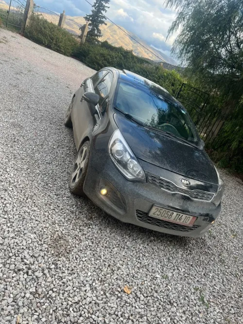 Kia Rio 5 portes 2014 Funny