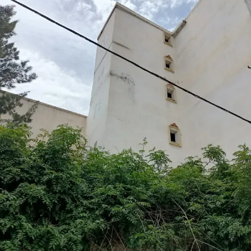 Vente Immeuble Alger Bordj el kiffan