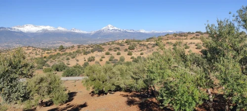 Vente Terrain Bouira Bechloul