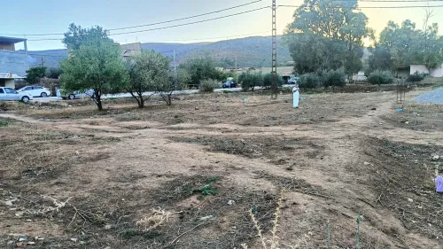 Vente Terrain Agricole Tlemcen Ain fezza