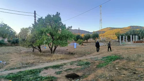 Vente Terrain Agricole Tlemcen Ain fezza