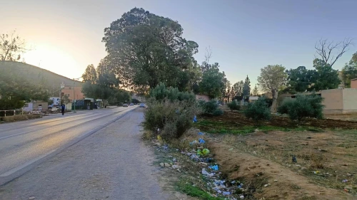 Vente Terrain Agricole Tlemcen Ain fezza