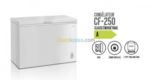 CONGELATEUR IRIS CF 255 COFREE