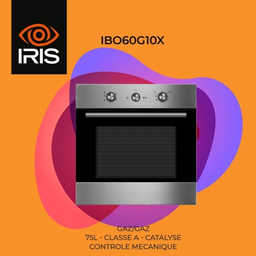  FOUR IRIS ENCASTRABLE GAZ-GAZ