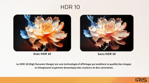 TV IRIS 50 Q5020 QLED ANDROID 14 GOOGLE TV 50POUCES FHD