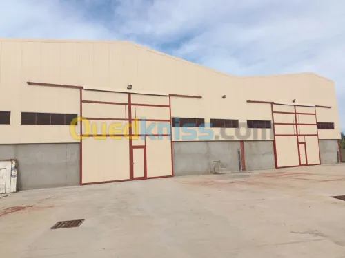 Location Hangar Blida Chebli