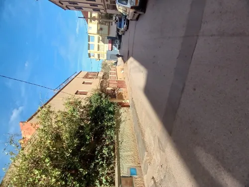Vente Terrain Tlemcen Maghnia