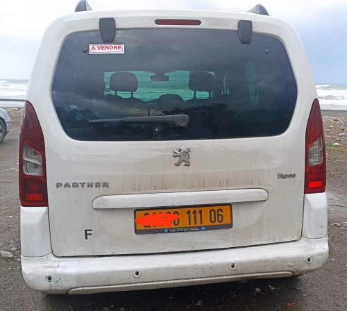 Peugeot Partner 2011 Tepee