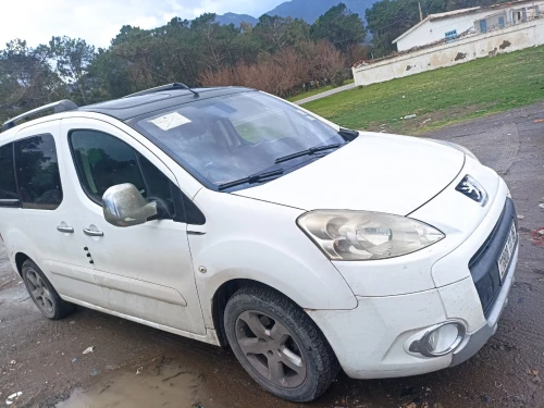Peugeot Partner 2011 Tepee