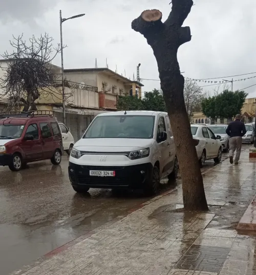 Fiat Doblo 2024 Italy