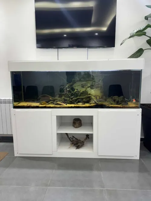 Aquarium grand format
