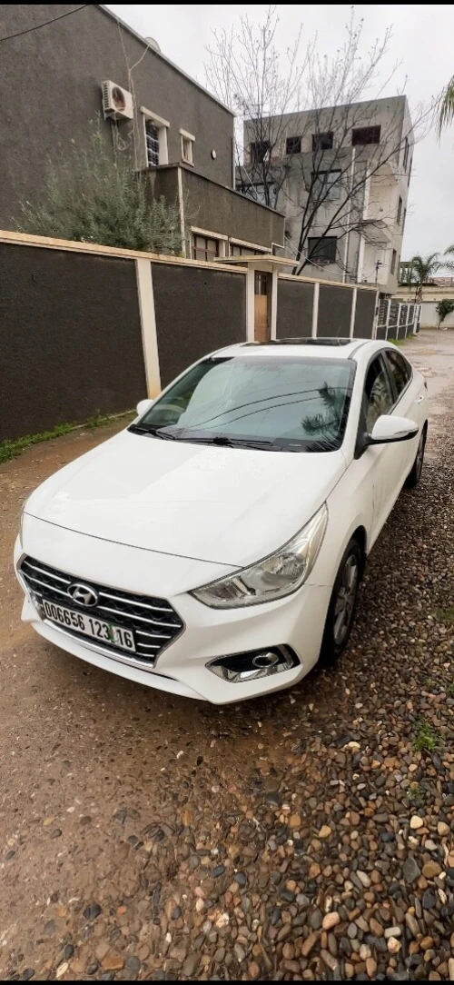 Car Rental
