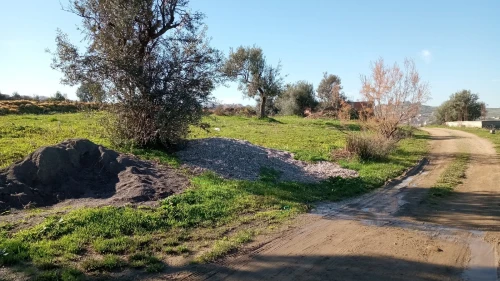 Vente Terrain Boumerdès El kharrouba